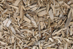 biomass boilers Ty Coch
